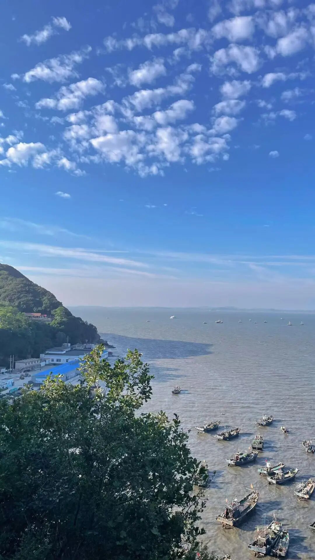 几乎0游客的山海秘境，海鲜不输象山，海岛比舟山淳朴，满街小吃炫不停！