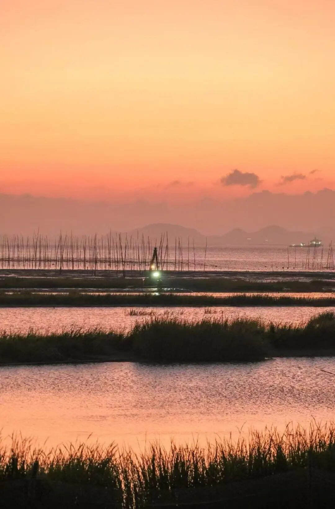 几乎0游客的山海秘境，海鲜不输象山，海岛比舟山淳朴，满街小吃炫不停！
