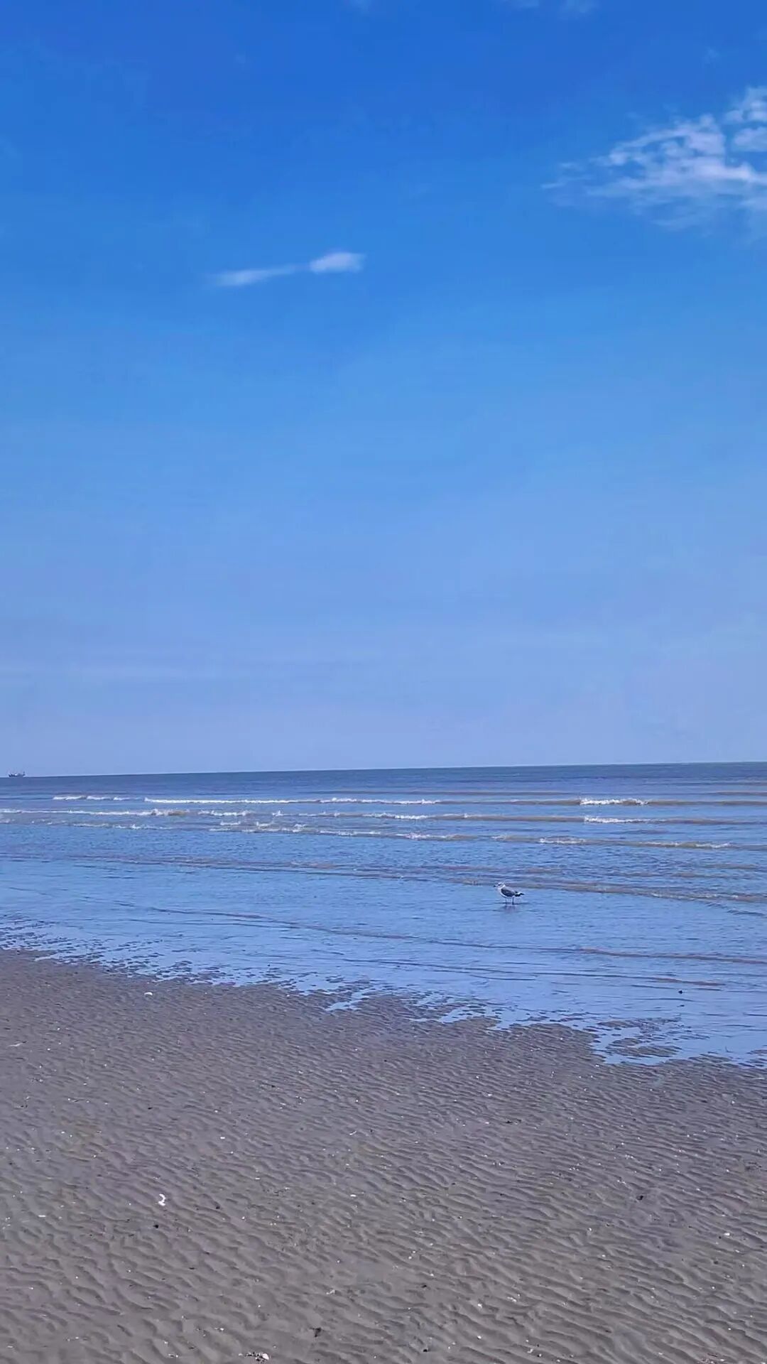 几乎0游客的山海秘境，海鲜不输象山，海岛比舟山淳朴，满街小吃炫不停！