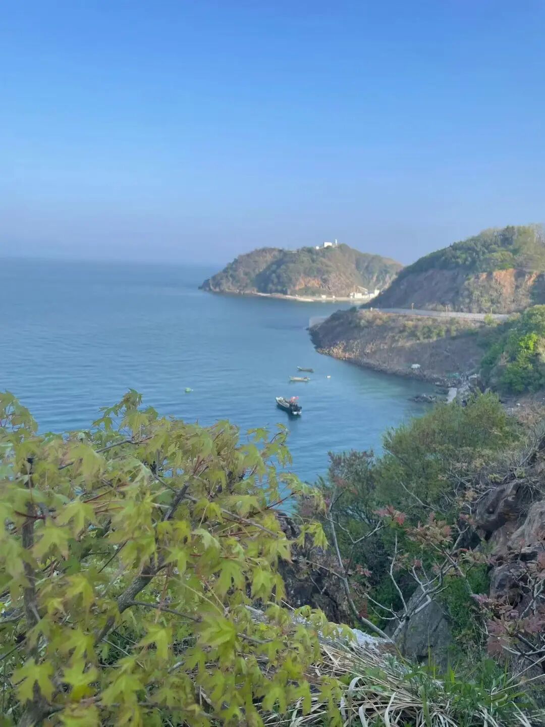 几乎0游客的山海秘境，海鲜不输象山，海岛比舟山淳朴，满街小吃炫不停！