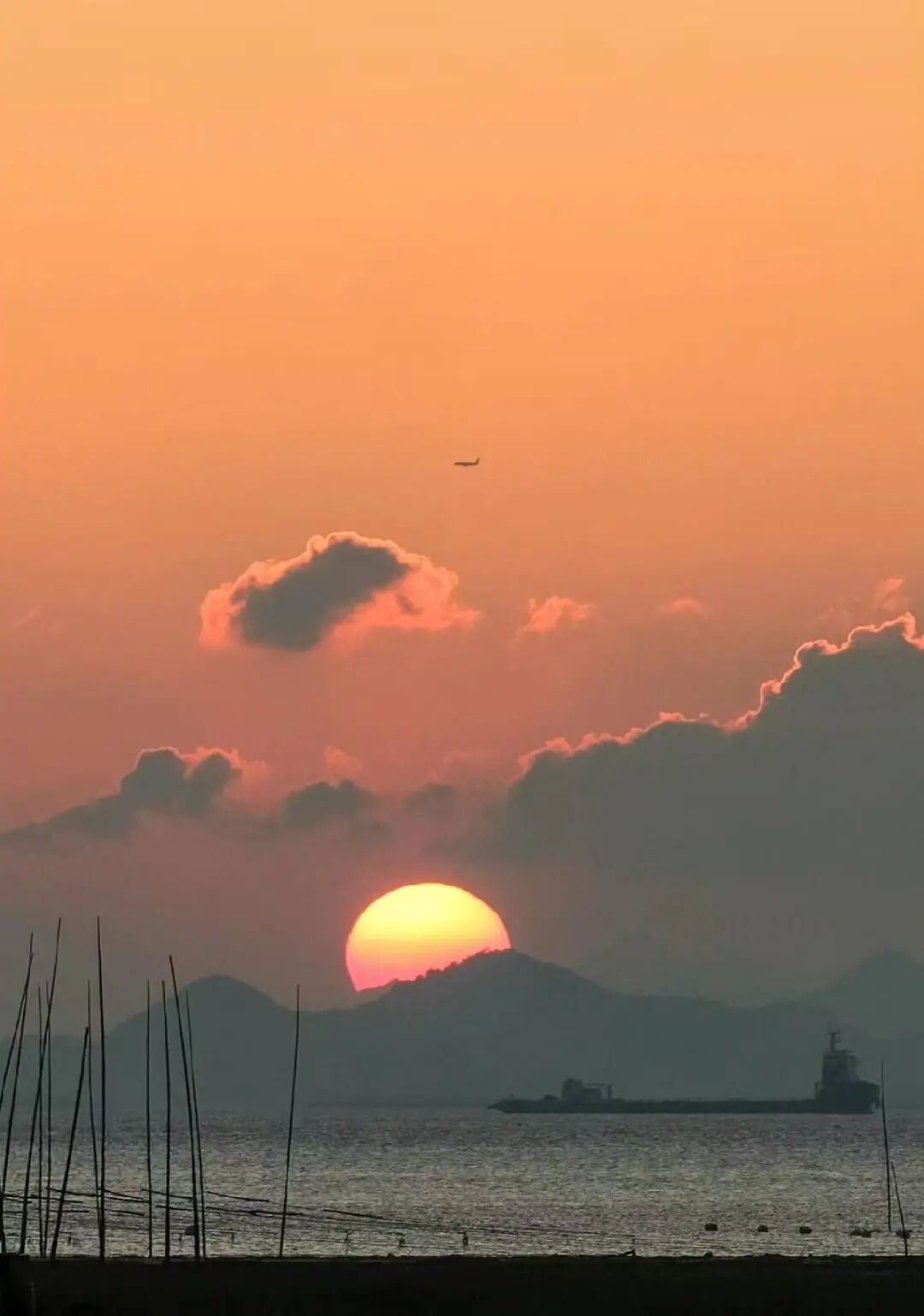 几乎0游客的山海秘境，海鲜不输象山，海岛比舟山淳朴，满街小吃炫不停！