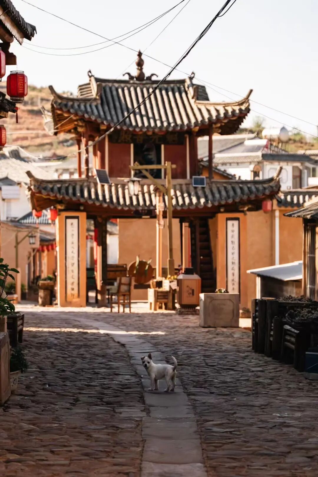 月薪2000也能养老的宝藏小城，0游客比沙溪还原始，看完我疯狂心动！