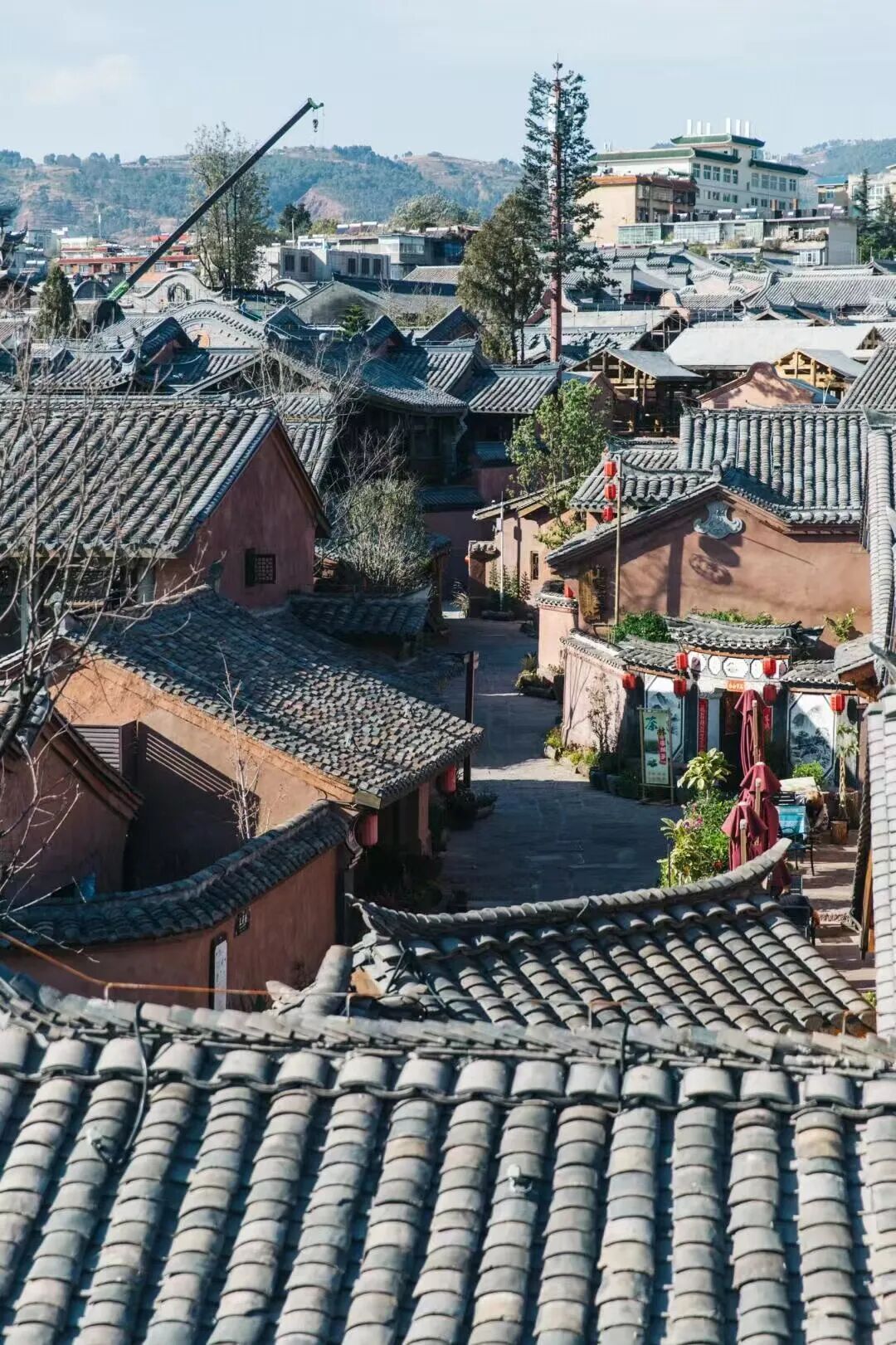 没有冬天，全年320天日照！这座国内最适合养老的“小春城”，比大理更宜居