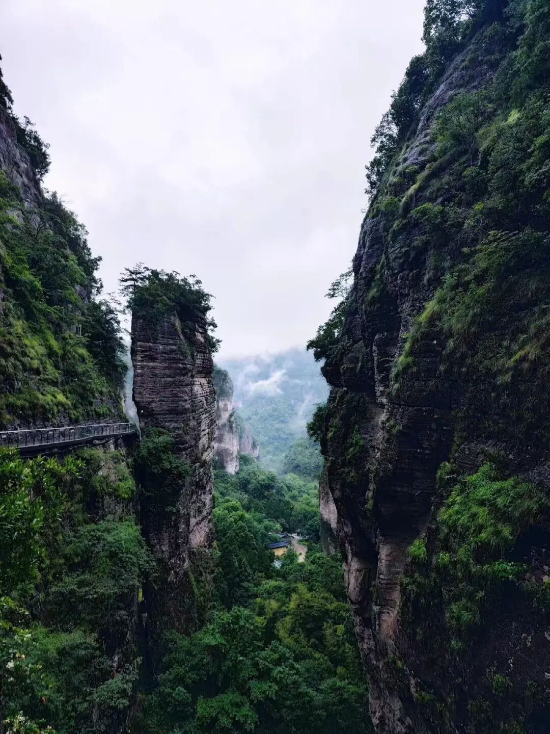 开渔季来了！人均100从早餐到夜宵全程高能，这座低调的海鲜王国直接封神