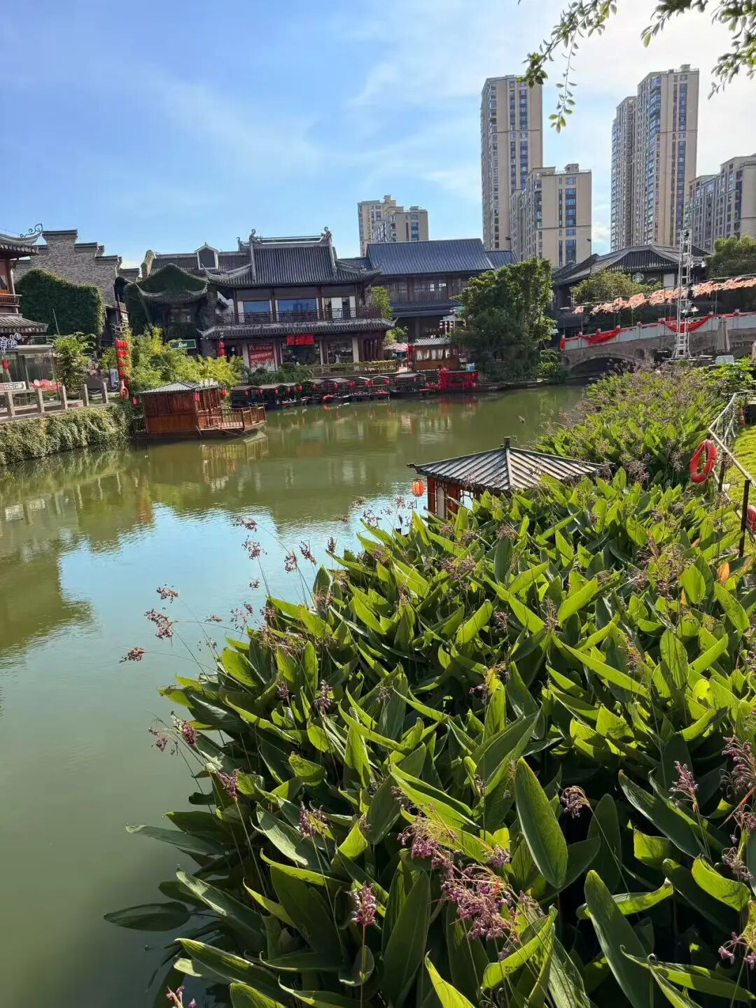 开渔季来了！人均100从早餐到夜宵全程高能，这座低调的海鲜王国直接封神