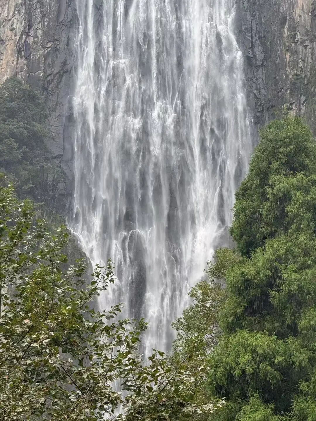 开渔季来了！人均100从早餐到夜宵全程高能，这座低调的海鲜王国直接封神