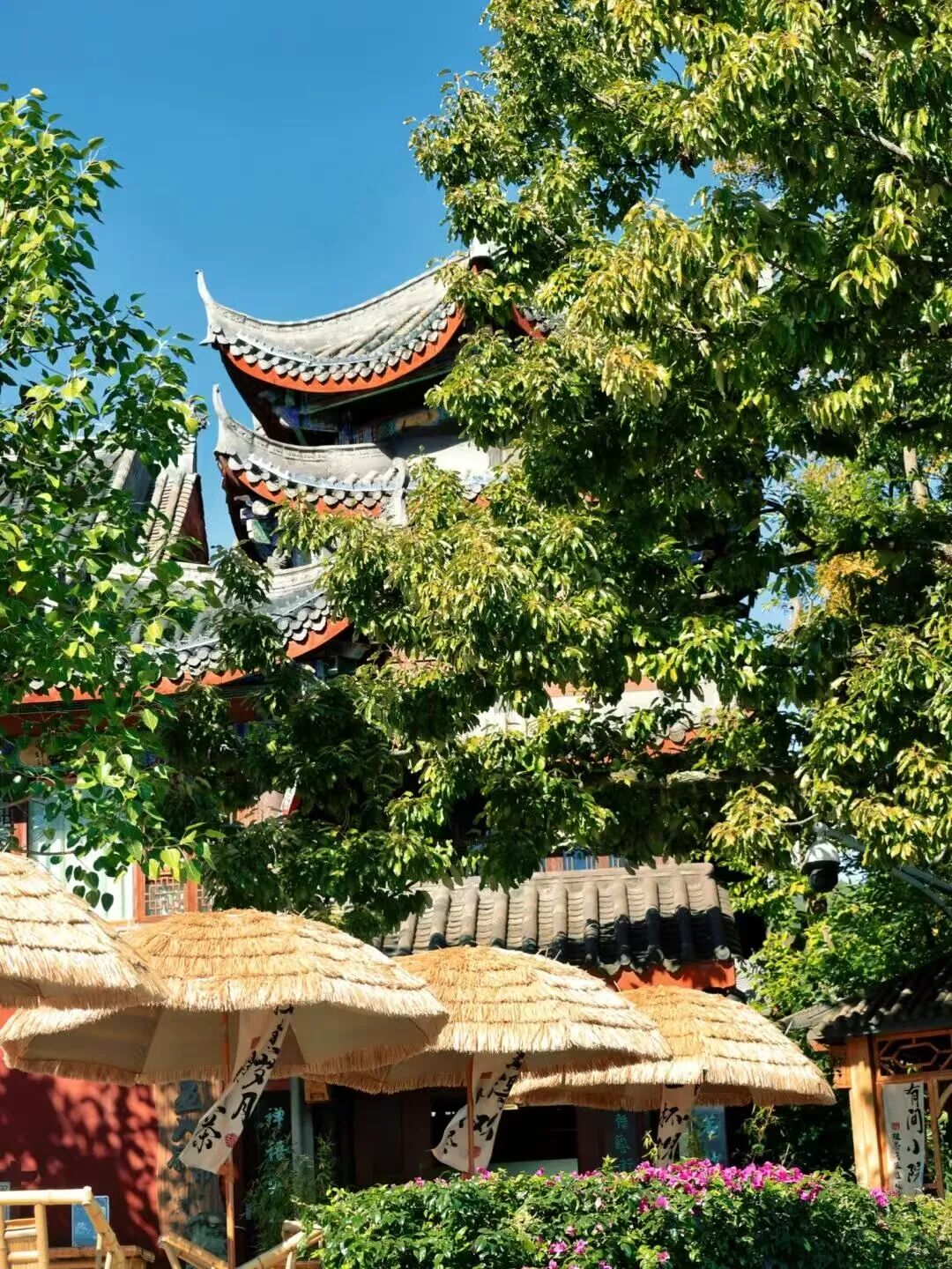 没有冬天，全年320天日照！这座国内最适合养老的“小春城”，比大理更宜居