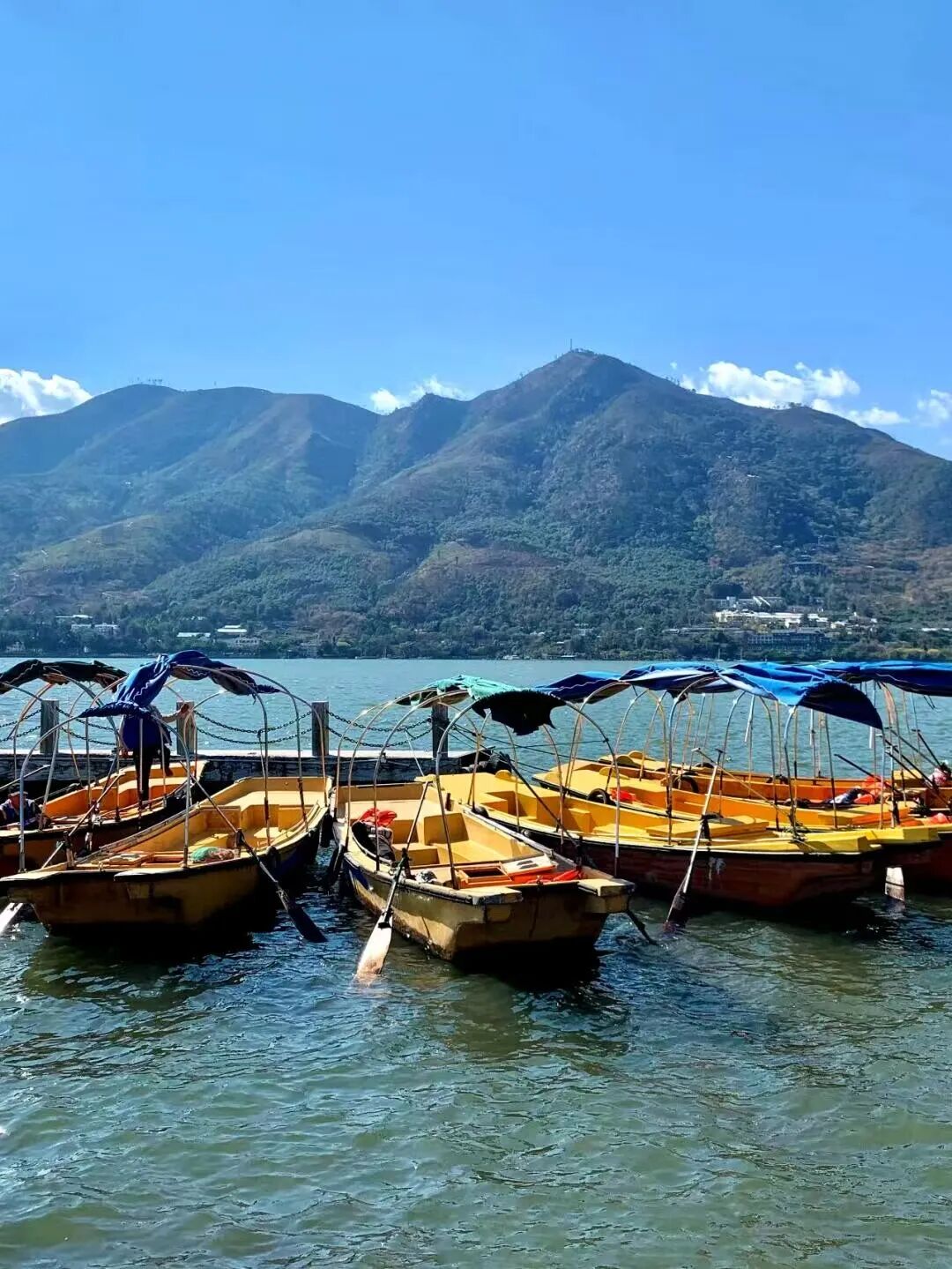 没有冬天，全年320天日照！这座国内最适合养老的“小春城”，比大理更宜居