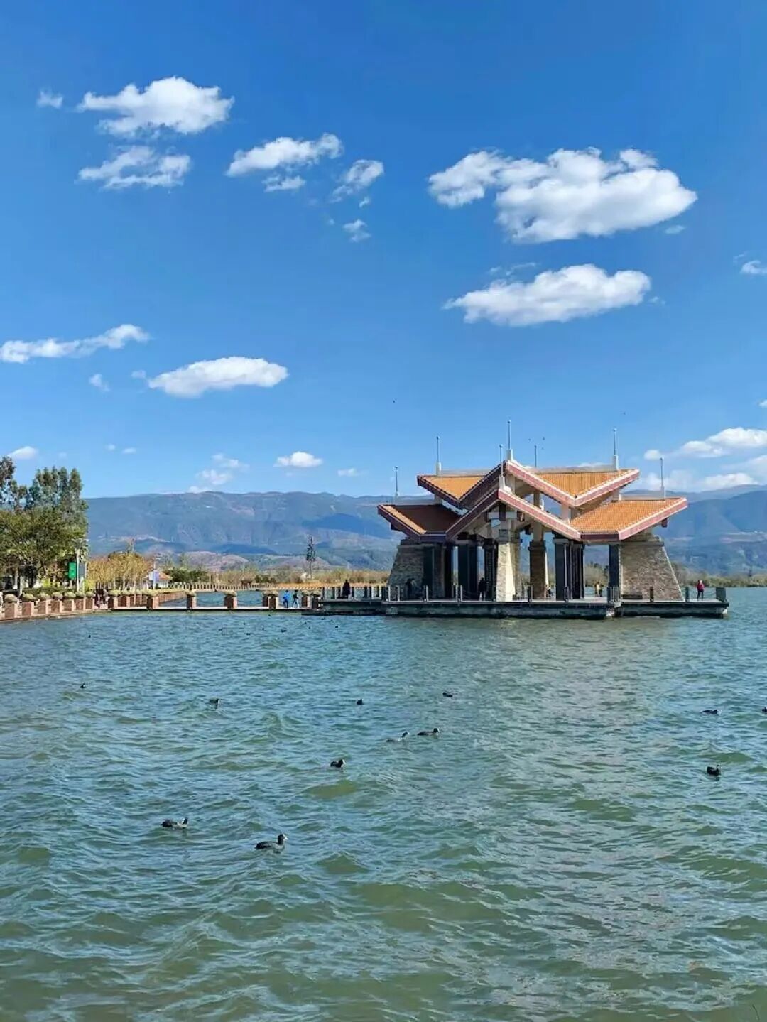 没有冬天，全年320天日照！这座国内最适合养老的“小春城”，比大理更宜居