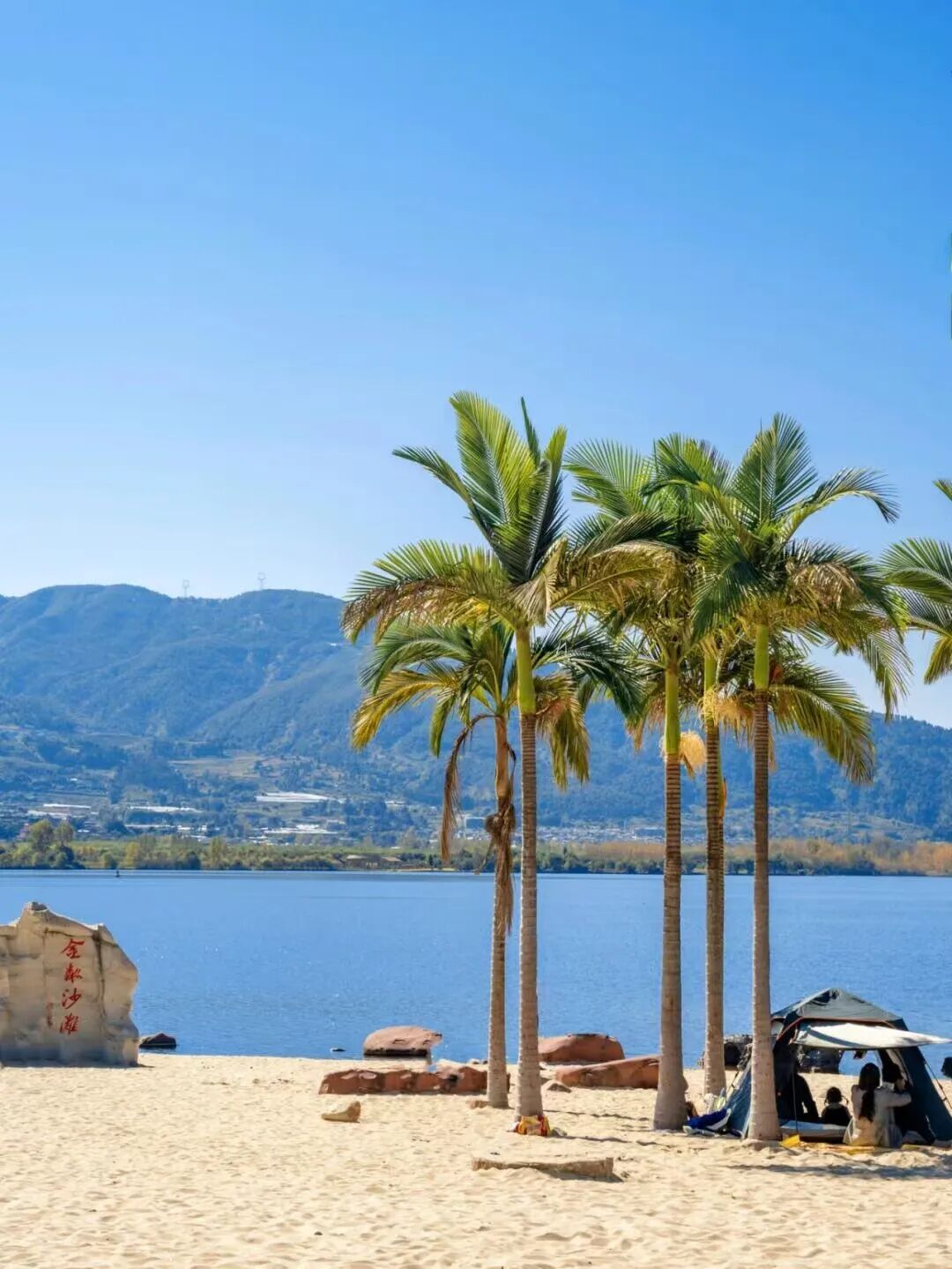 没有冬天，全年320天日照！这座国内最适合养老的“小春城”，比大理更宜居