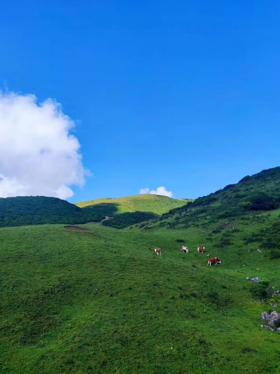 西北唯一不输江南的小城！人均600玩3天，山水似画，烤肉论斤吃，7块钱嗦粉