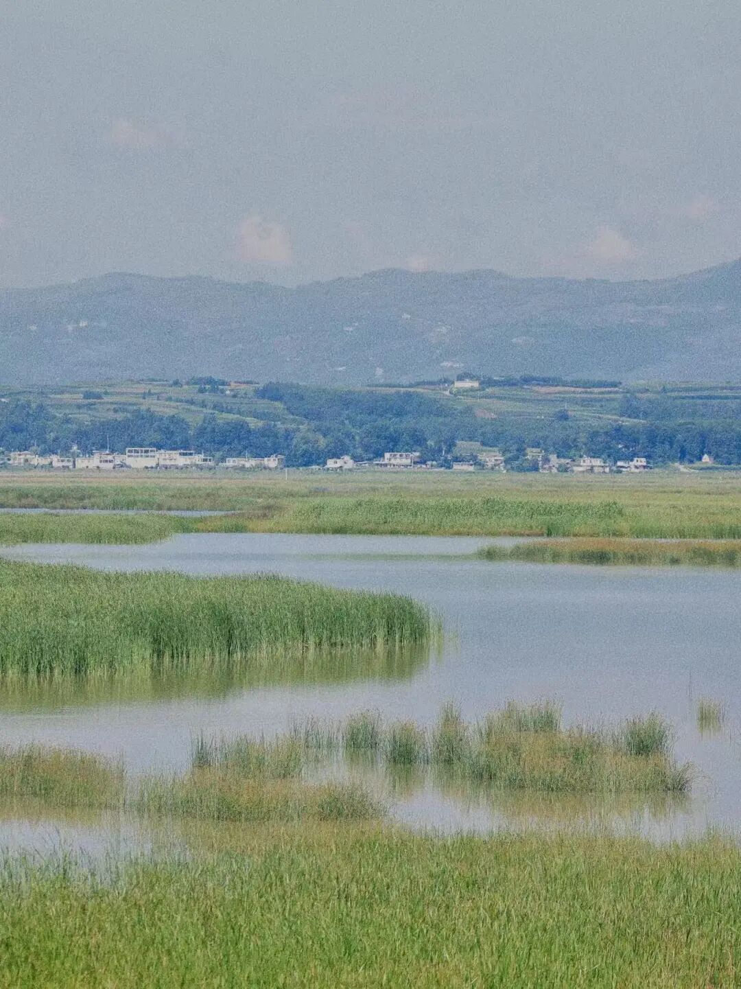 比六盘水还凉快！这座均温20℃小县城，比成都还安逸，人均20炫猪脚火锅，10元嗦羊肉粉