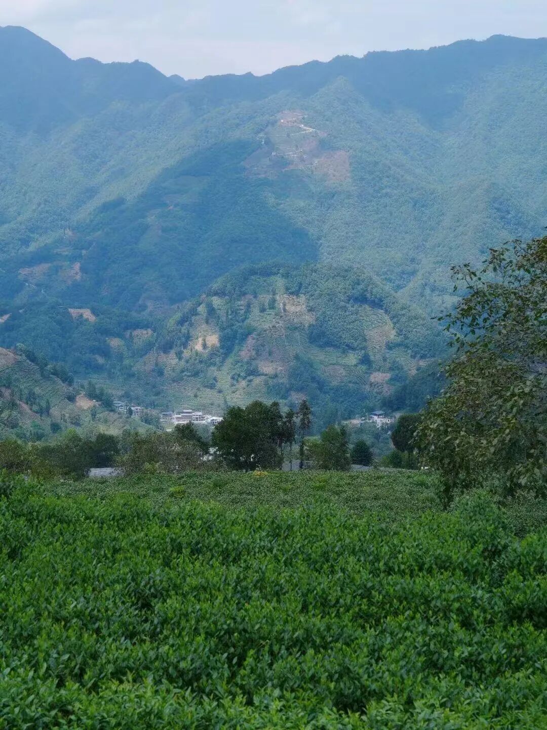 西北唯一不输江南的小城！人均600玩3天，山水似画，烤肉论斤吃，7块钱嗦粉