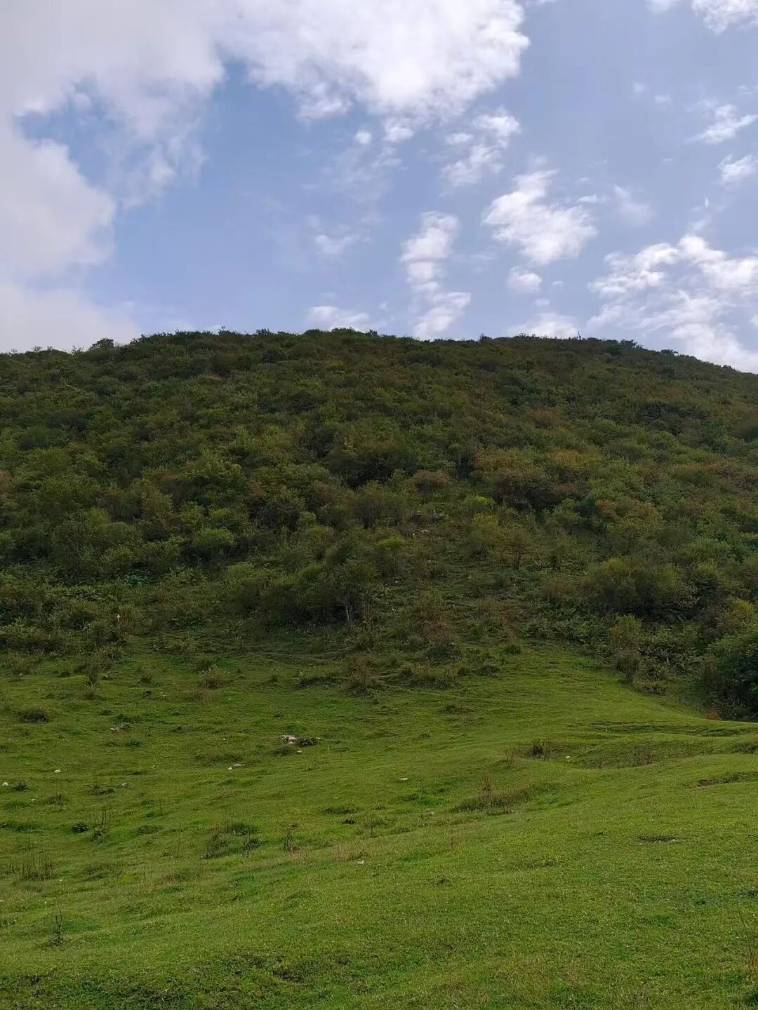 西北唯一不输江南的小城！人均600玩3天，山水似画，烤肉论斤吃，7块钱嗦粉