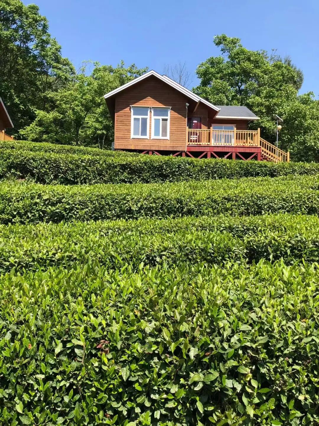 西北唯一不输江南的小城！人均600玩3天，山水似画，烤肉论斤吃，7块钱嗦粉