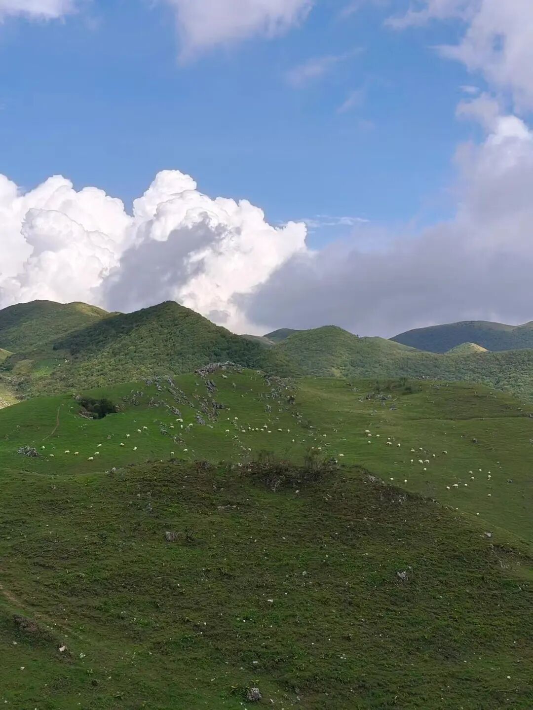 西北唯一不输江南的小城！人均600玩3天，山水似画，烤肉论斤吃，7块钱嗦粉