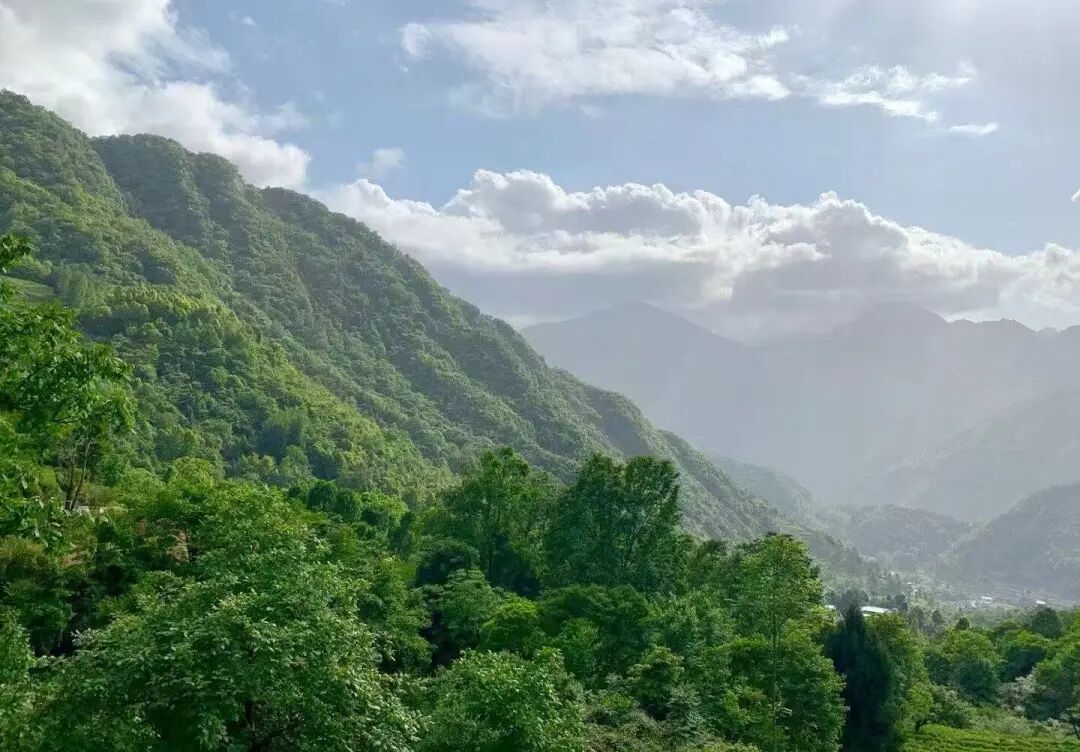 西北唯一不输江南的小城！人均600玩3天，山水似画，烤肉论斤吃，7块钱嗦粉