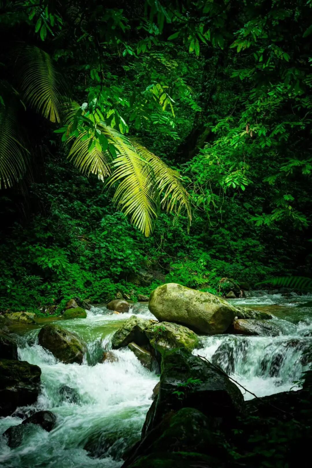 中国最“色”的地方：比六盘水还凉快！夏天最低温度12°C！风景不输桂林，500元吃好喝好