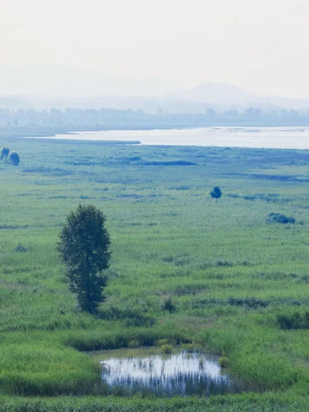 比六盘水还凉快！这座均温20℃小县城，比成都还安逸，人均20炫猪脚火锅，10元嗦羊肉粉