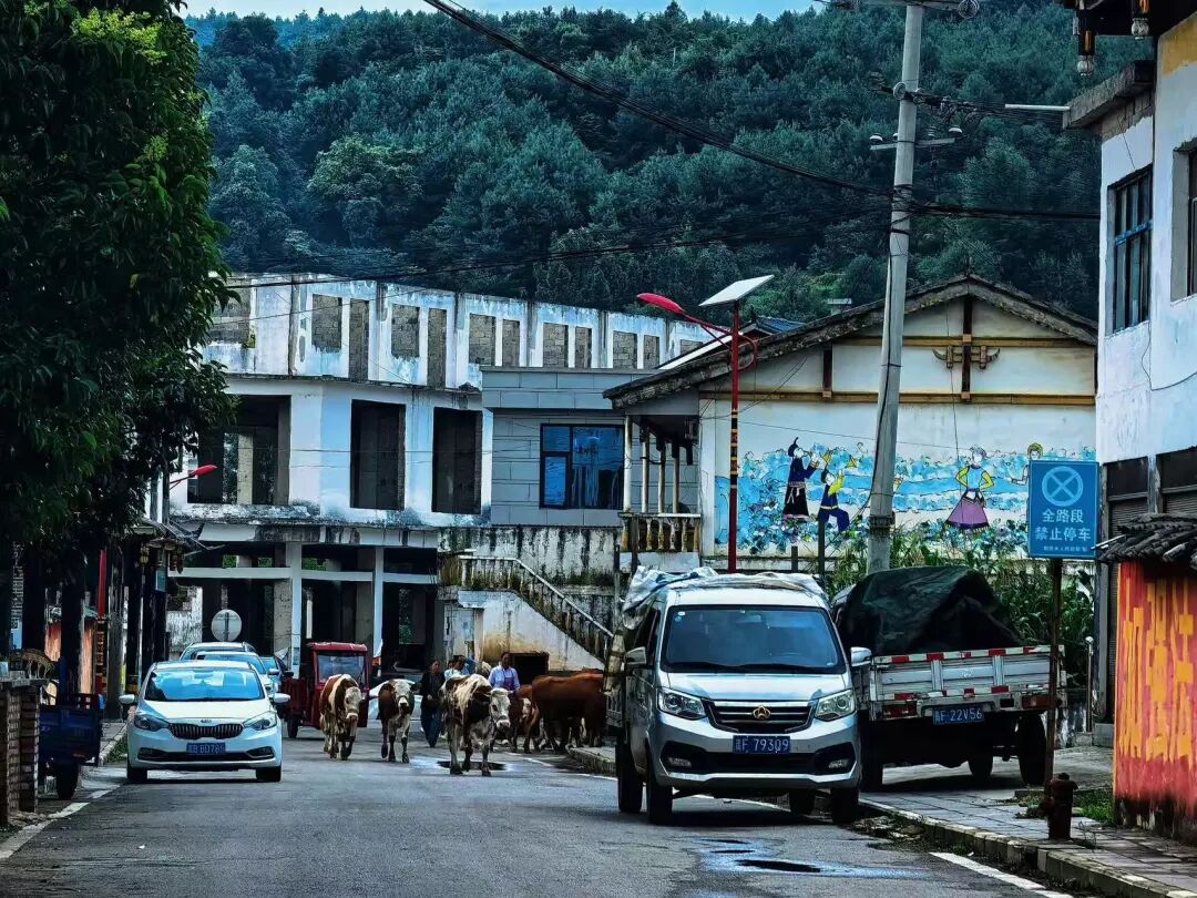 比六盘水还凉快！这座均温20℃小县城，比成都还安逸，人均20炫猪脚火锅，10元嗦羊肉粉