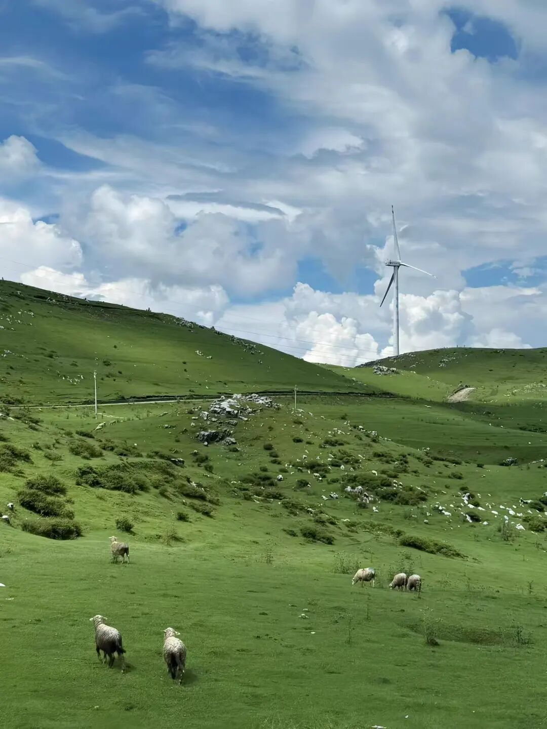 比六盘水还凉快！这座均温20℃小县城，比成都还安逸，人均20炫猪脚火锅，10元嗦羊肉粉