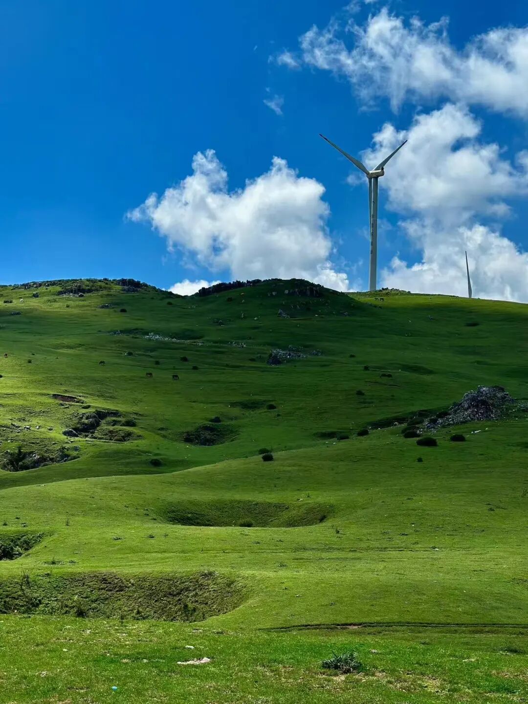 比六盘水还凉快！这座均温20℃小县城，比成都还安逸，人均20炫猪脚火锅，10元嗦羊肉粉