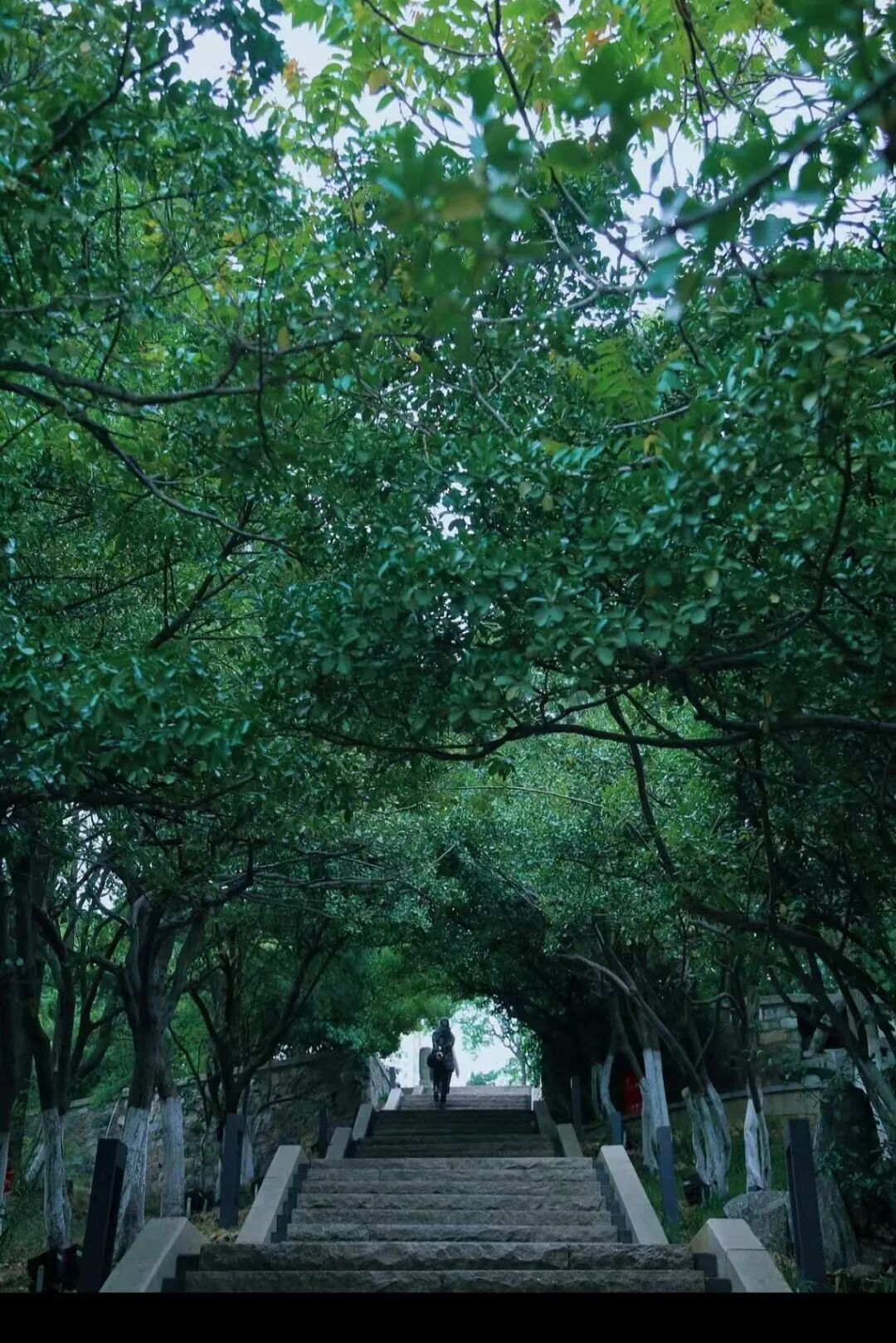 国内宜居城市TOP1，却一直不火，4块钱一碗面，出门就是海，海鲜和水果论盆吃