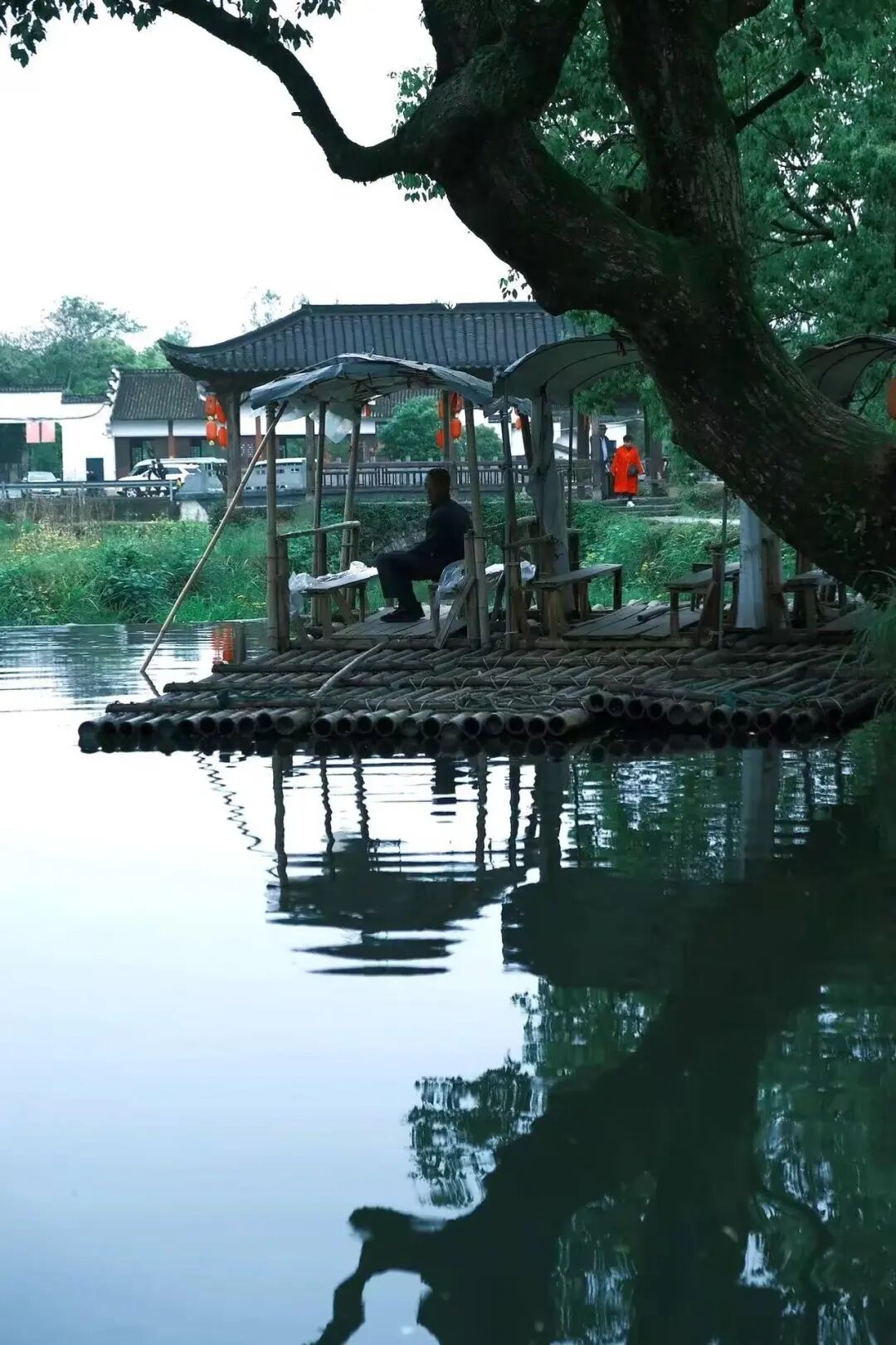 这座“中国最上镜”的宝藏小城，私藏“红枫+晨雾”限定仙境！一生必打卡，比油画美10倍！