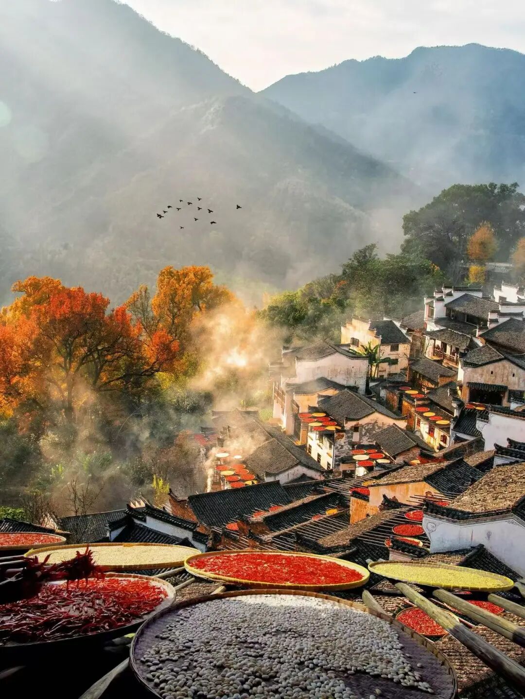 这座“中国最上镜”的宝藏小城，私藏“红枫+晨雾”限定仙境！一生必打卡，比油画美10倍！