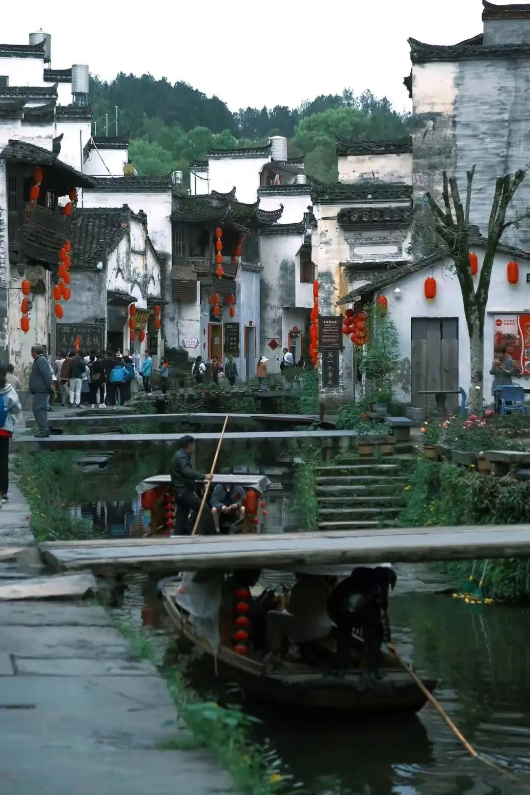 这座“中国最上镜”的宝藏小城，私藏“红枫+晨雾”限定仙境！一生必打卡，比油画美10倍！