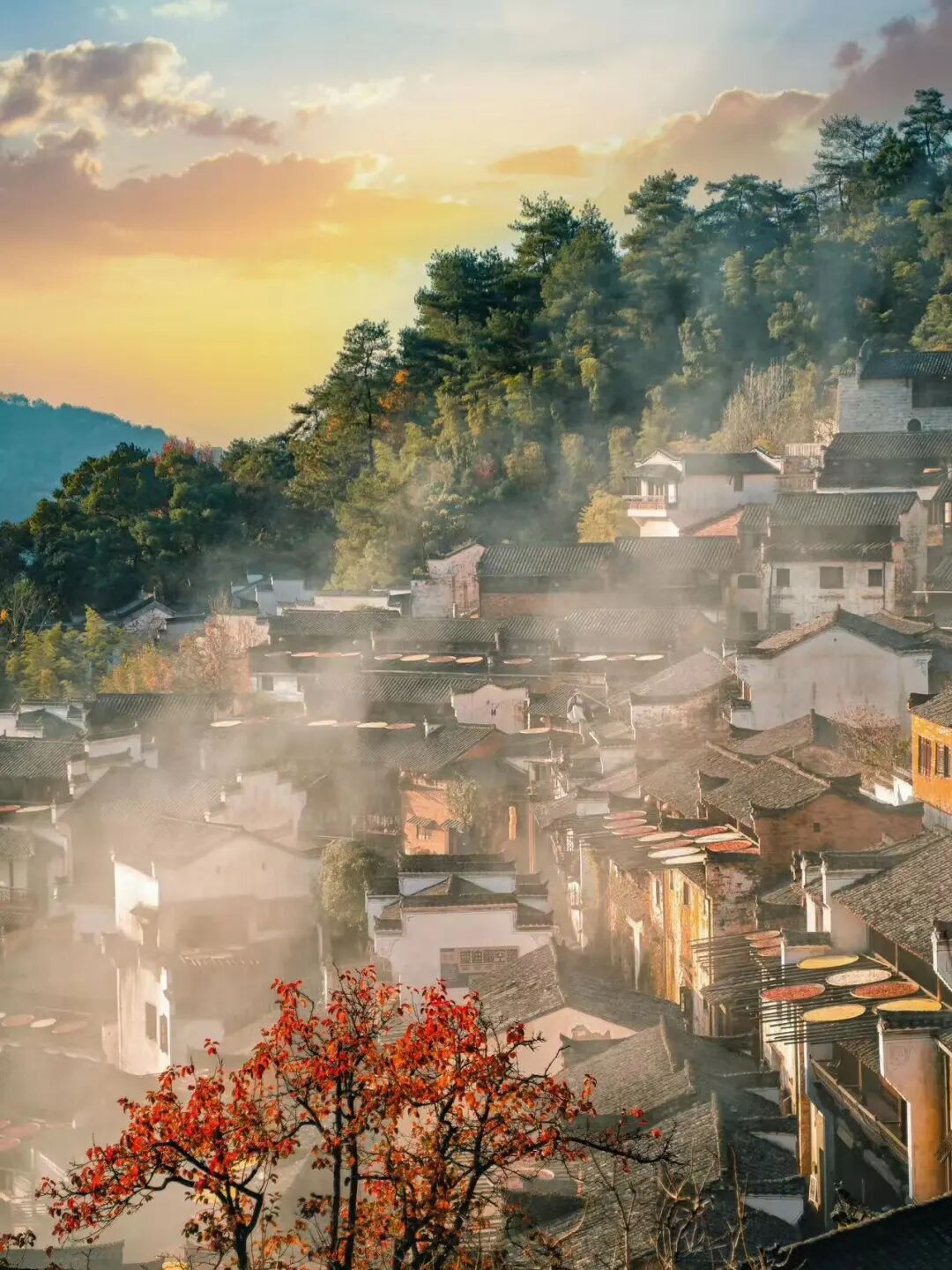 这座“中国最上镜”的宝藏小城，私藏“红枫+晨雾”限定仙境！一生必打卡，比油画美10倍！