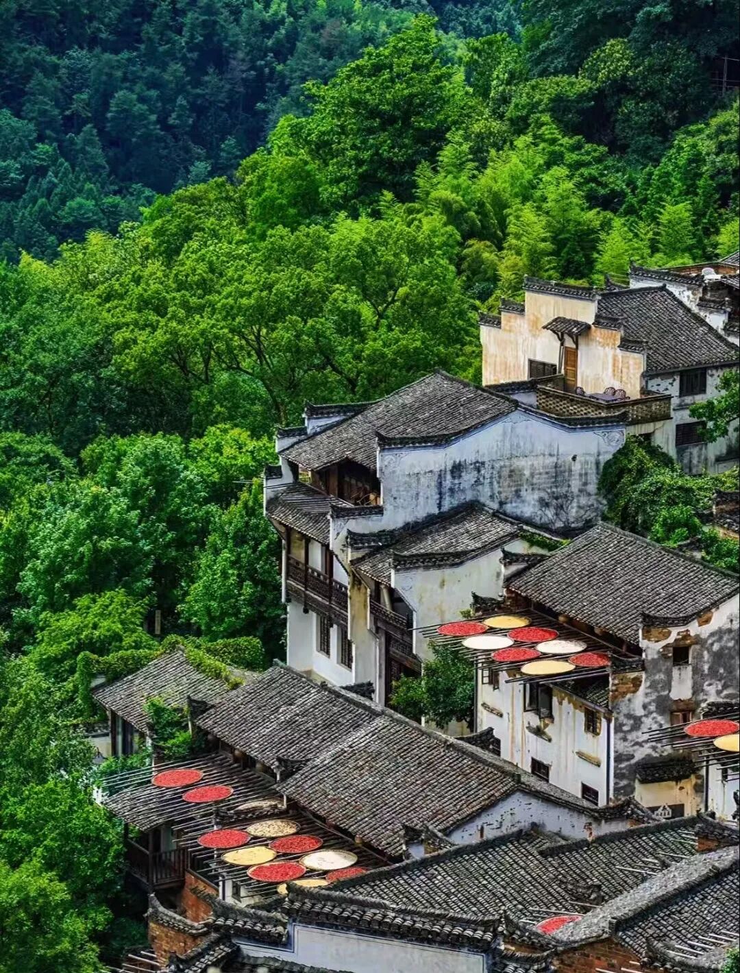 这座“中国最上镜”的宝藏小城，私藏“红枫+晨雾”限定仙境！一生必打卡，比油画美10倍！