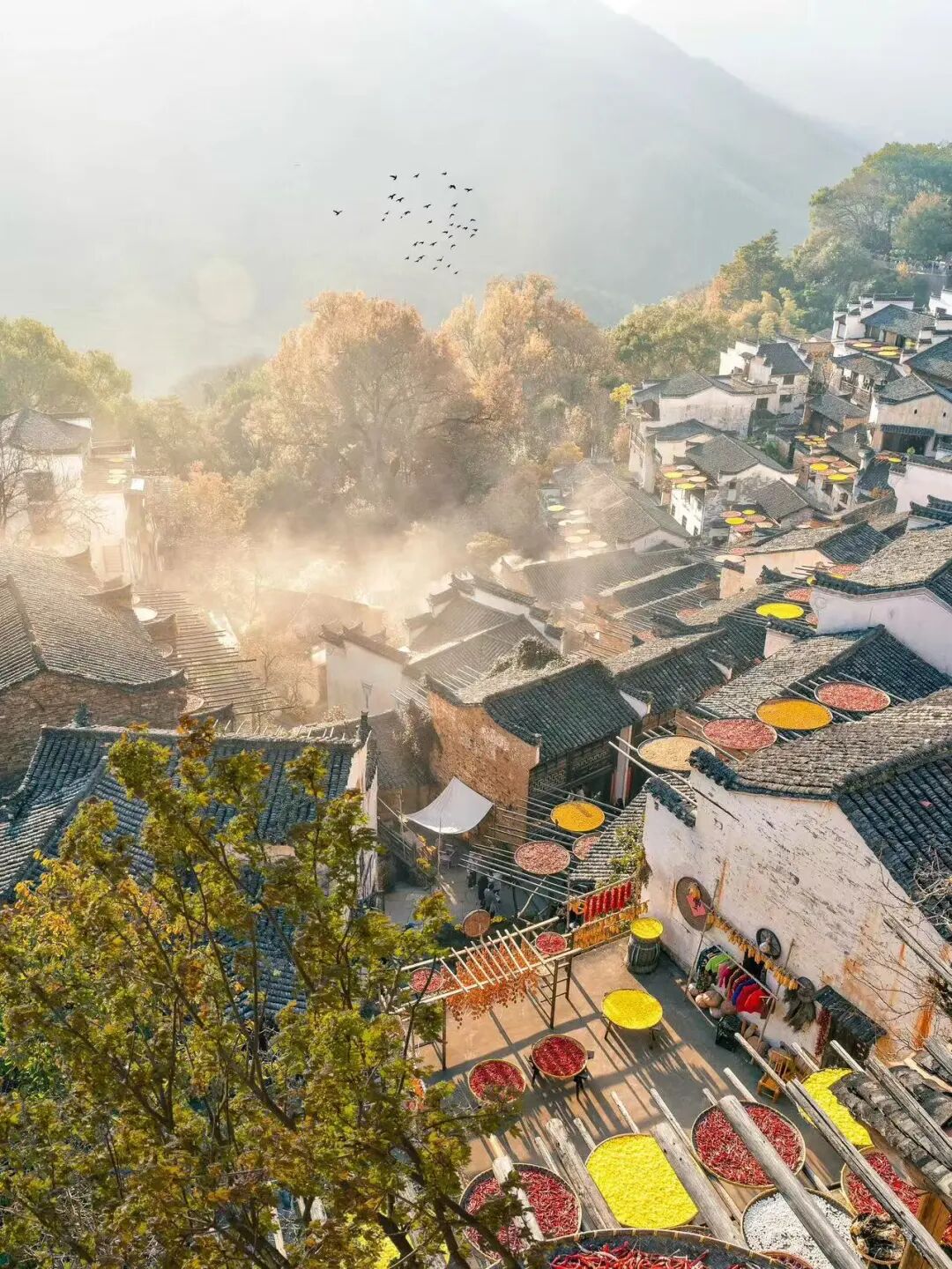 这座“中国最上镜”的宝藏小城，私藏“红枫+晨雾”限定仙境！一生必打卡，比油画美10倍！