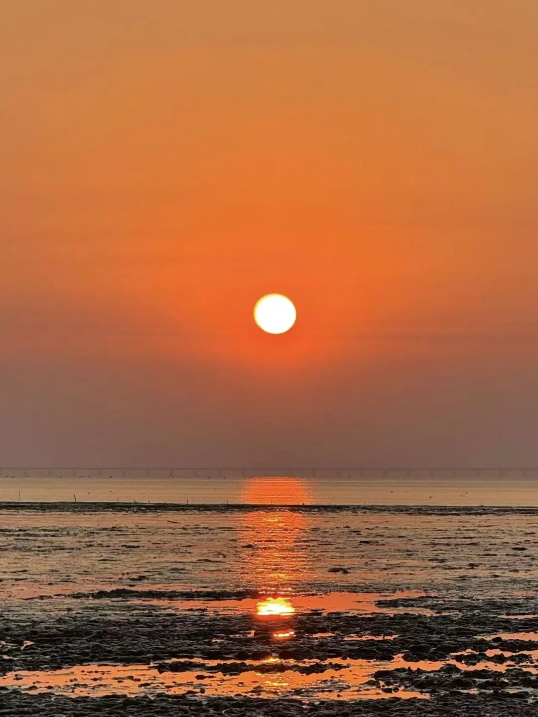 挖到一座隐秘的千年小城，比乌镇更有江南烟火气，满街湖羊飘香，想马上去逛吃！