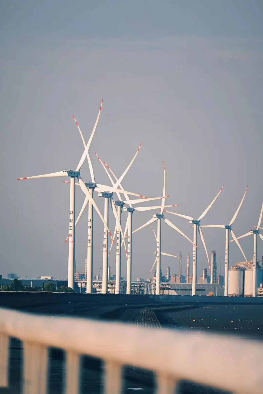 挖到一座隐秘的千年小城，比乌镇更有江南烟火气，满街湖羊飘香，想马上去逛吃！