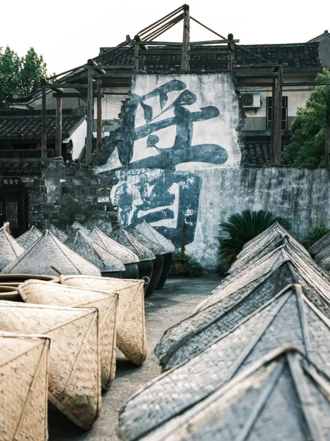 挖到一座隐秘的千年小城，比乌镇更有江南烟火气，满街湖羊飘香，想马上去逛吃！