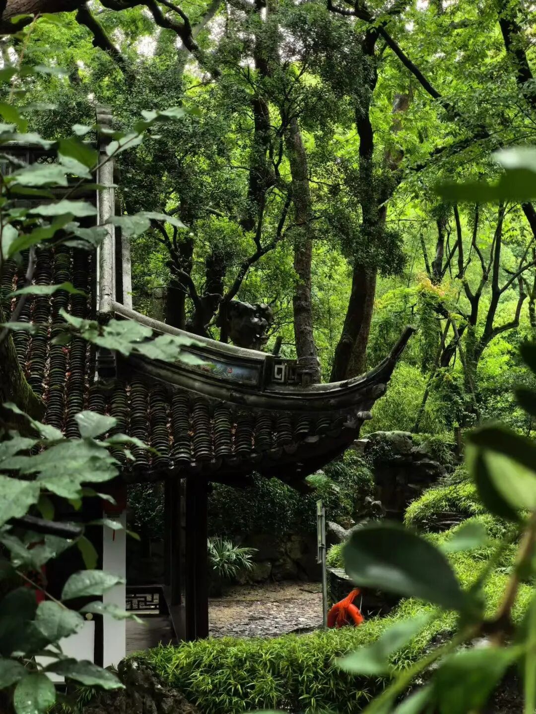 挖到一座隐秘的千年小城，比乌镇更有江南烟火气，满街湖羊飘香，想马上去逛吃！