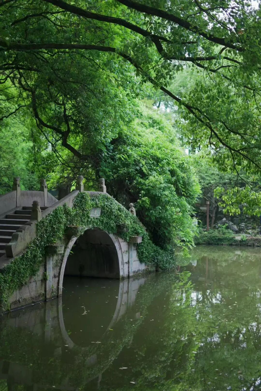 挖到一座隐秘的千年小城，比乌镇更有江南烟火气，满街湖羊飘香，想马上去逛吃！