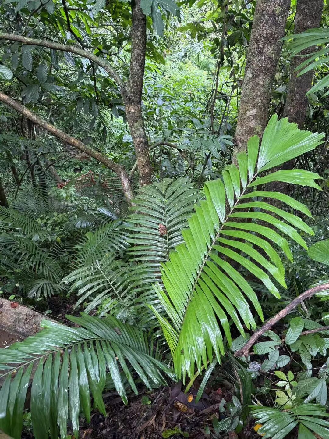 山水不输桂林，物价不及一半，这座夏天才25℃的避暑小城，冷门到无人知！