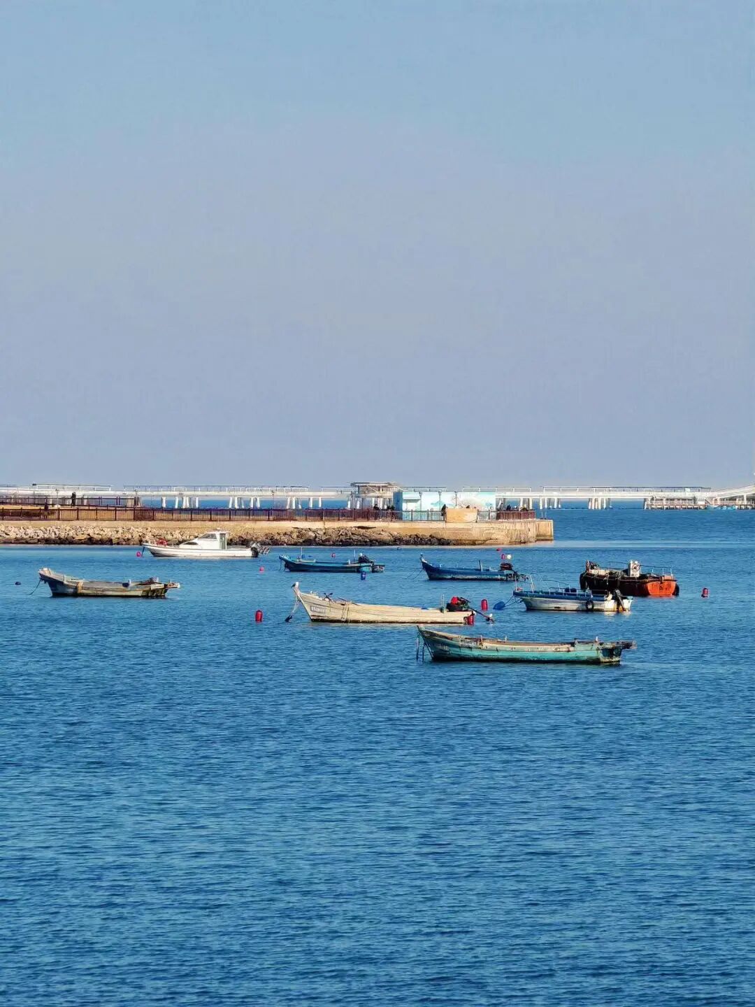 国内宜居城市TOP1，却一直不火，4块钱一碗面，出门就是海，海鲜和水果论盆吃