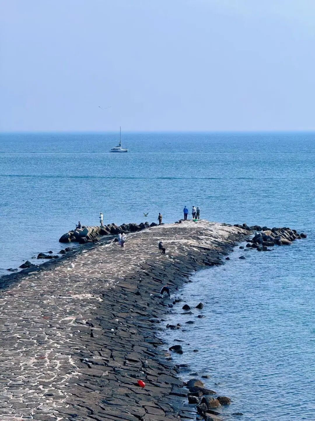 国内宜居城市TOP1，却一直不火，4块钱一碗面，出门就是海，海鲜和水果论盆吃