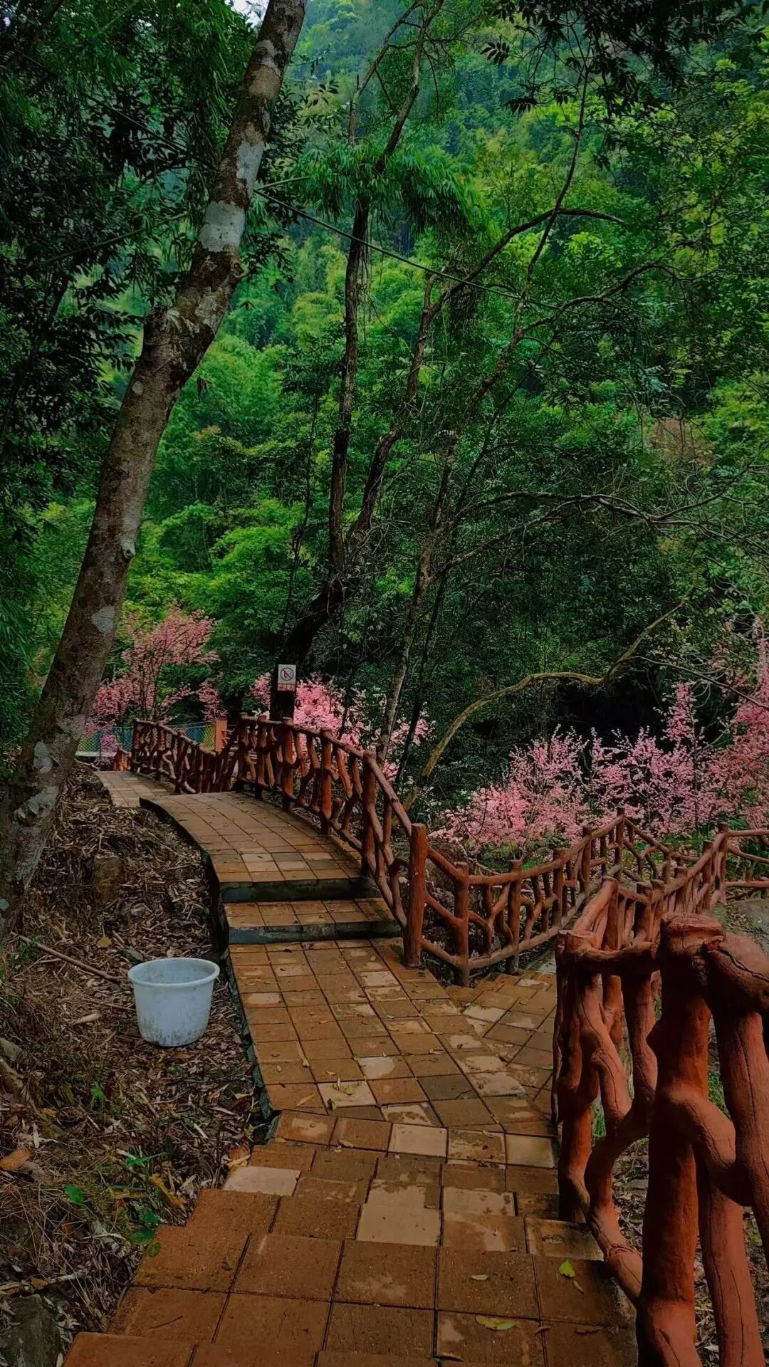 又挖到一座被低估的小城！高铁直达，嗦粉自由，低调的美食江湖藏不住了！