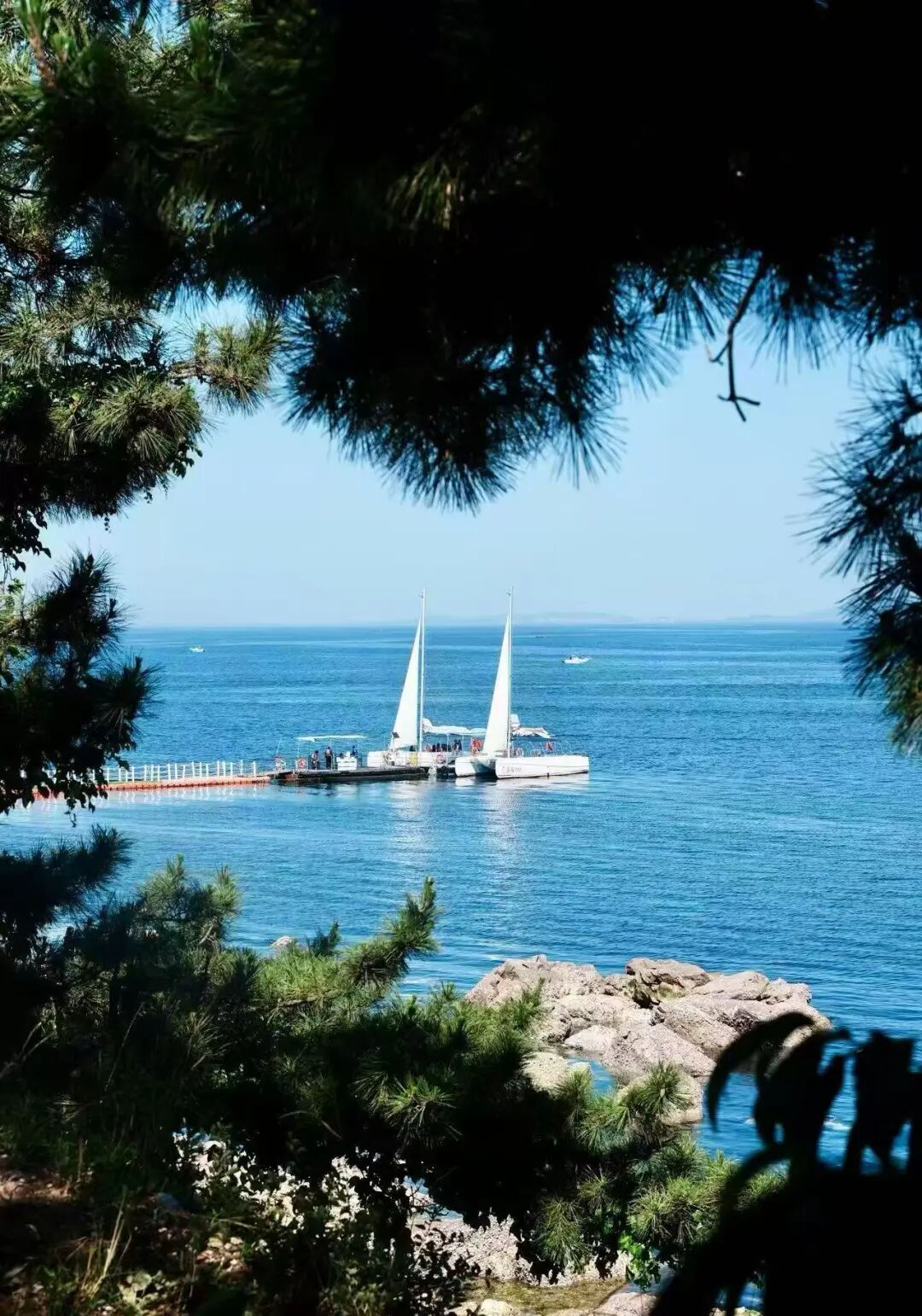 国内宜居城市TOP1，却一直不火，4块钱一碗面，出门就是海，海鲜和水果论盆吃