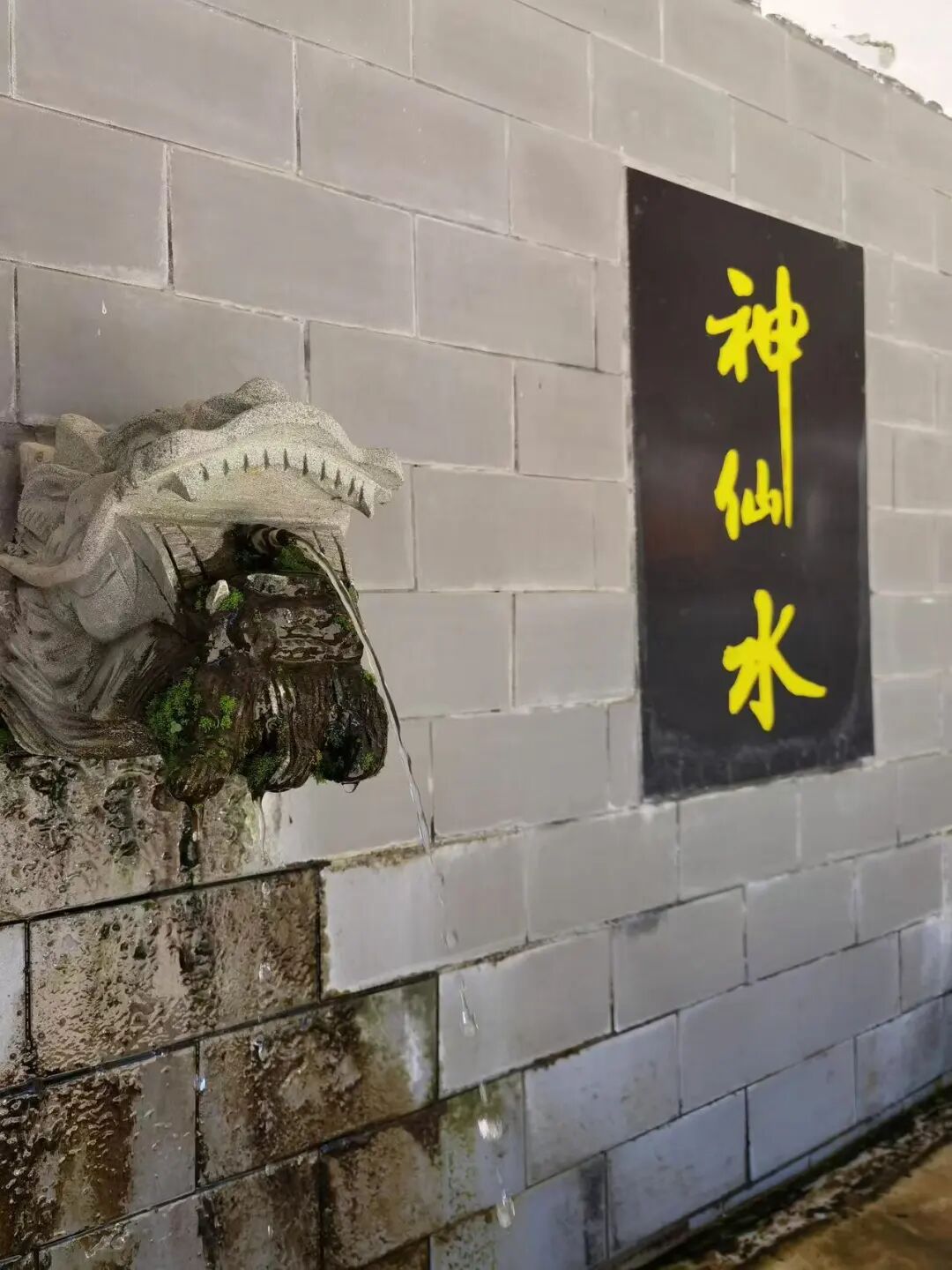 又挖到一座被低估的小城！高铁直达，嗦粉自由，低调的美食江湖藏不住了！