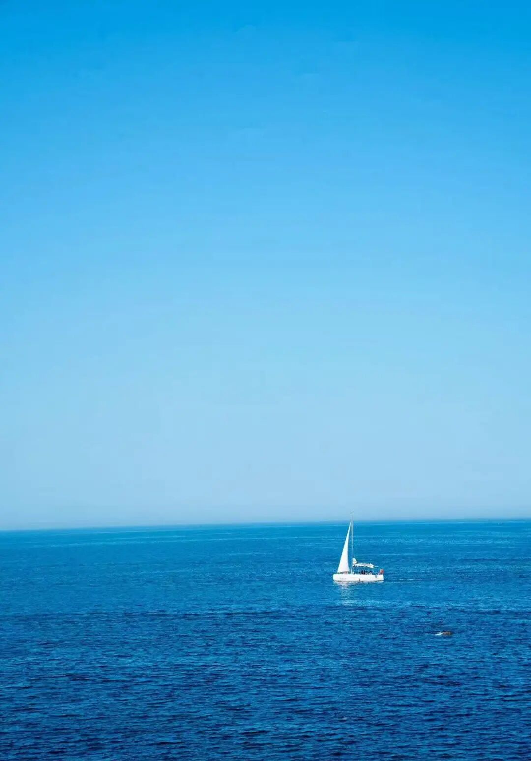 国内宜居城市TOP1，却一直不火，4块钱一碗面，出门就是海，海鲜和水果论盆吃