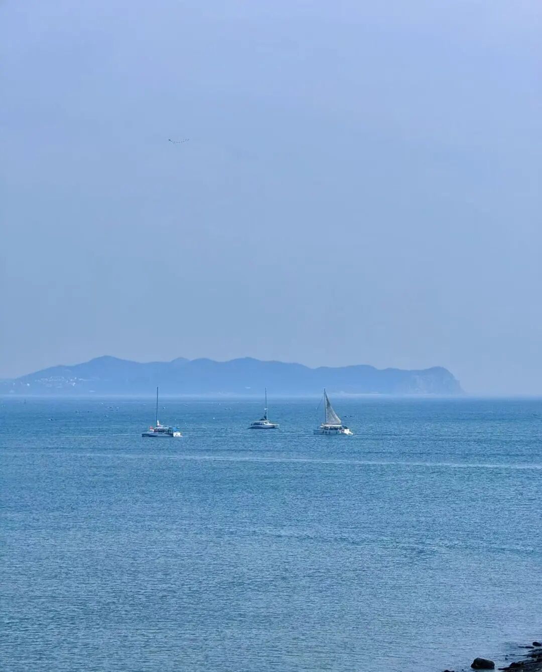 国内宜居城市TOP1，却一直不火，4块钱一碗面，出门就是海，海鲜和水果论盆吃