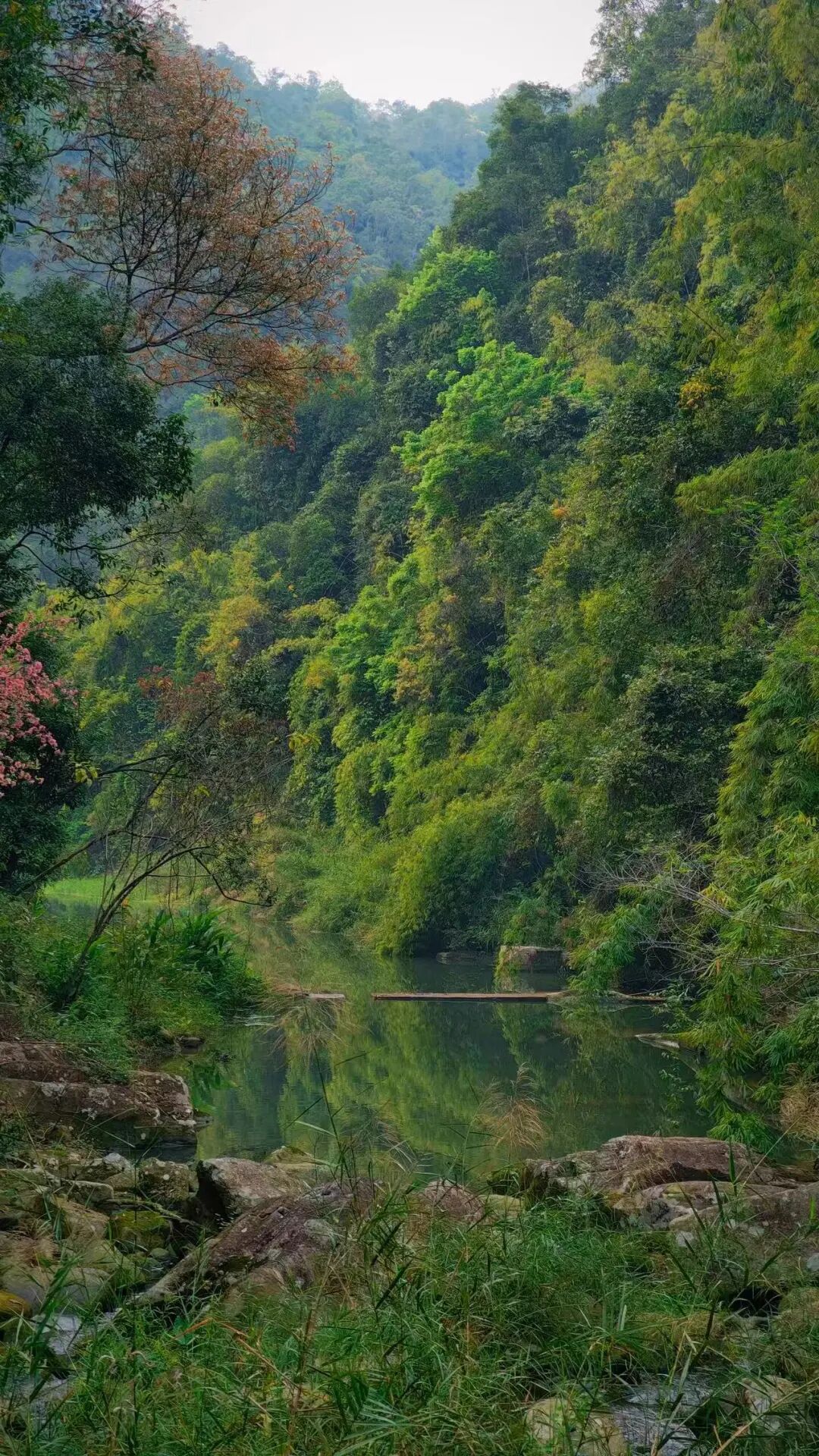 又挖到一座被低估的小城！高铁直达，嗦粉自由，低调的美食江湖藏不住了！