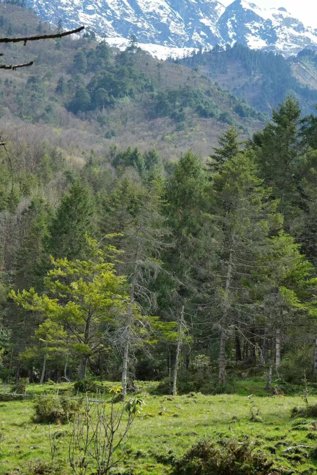 比成都人少，比川西低调，它才是国内最逍遥的宝藏地，坐拥世界级云海，却总被略过…