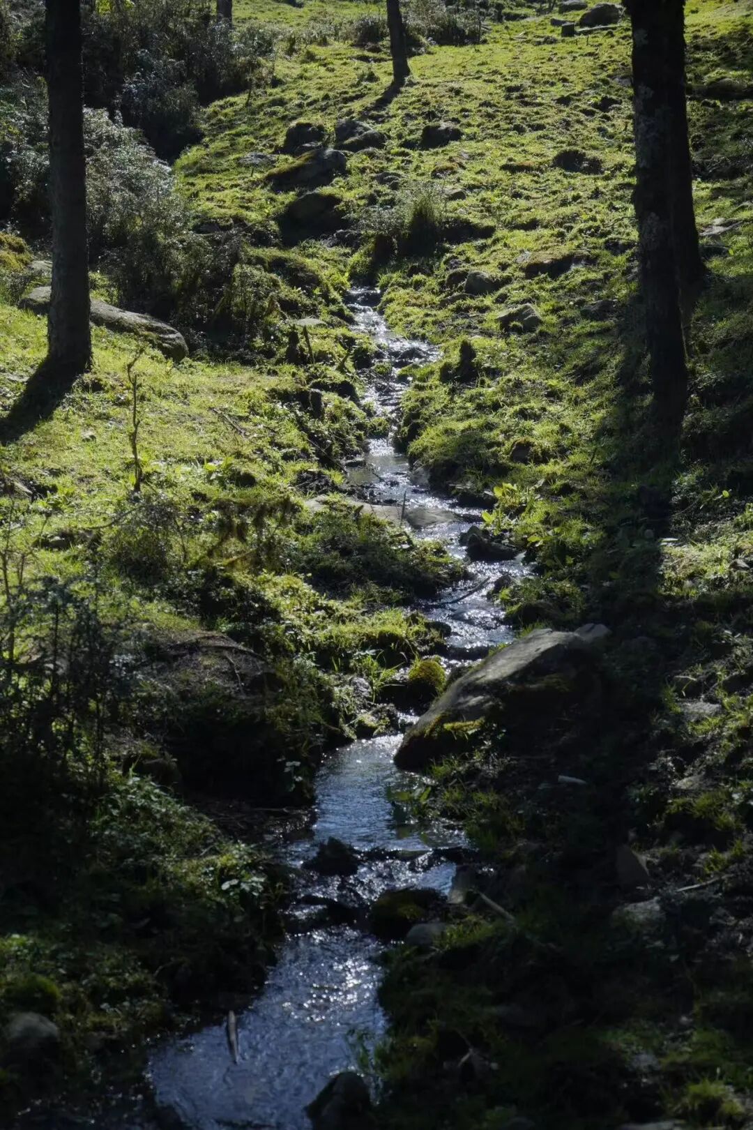 比成都人少，比川西低调，它才是国内最逍遥的宝藏地，坐拥世界级云海，却总被略过…