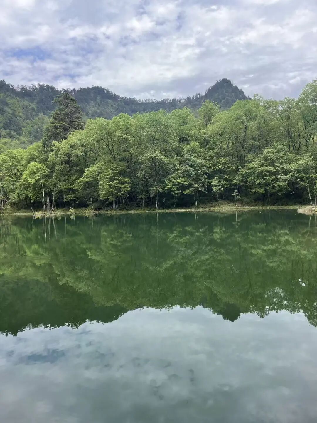 比成都人少，比川西低调，它才是国内最逍遥的宝藏地，坐拥世界级云海，却总被略过…